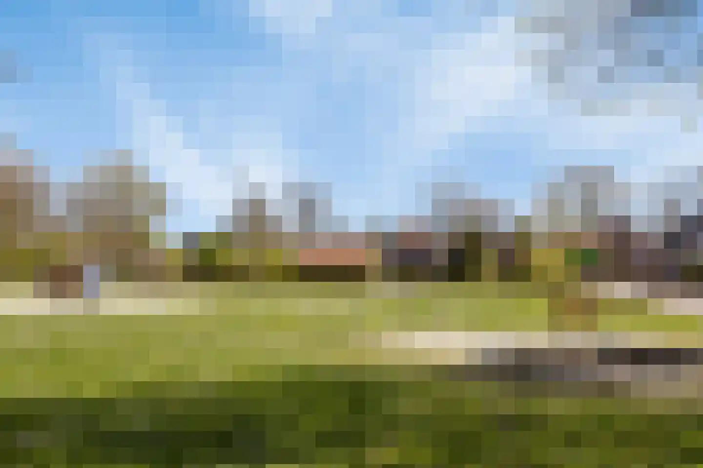Sleutelbloem 7 Haaksbergen thumbnail 72