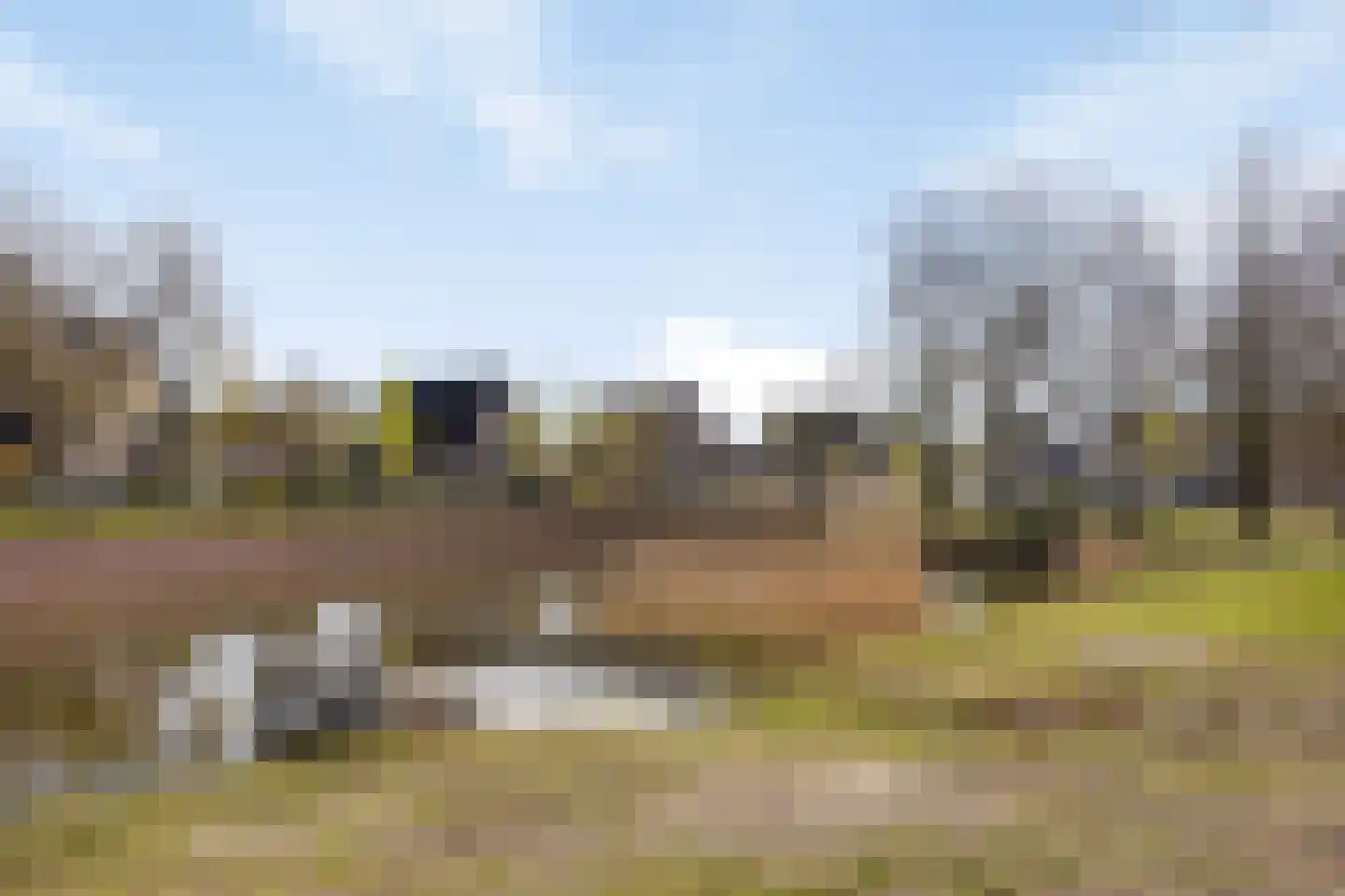 Sleutelbloem 7 Haaksbergen thumbnail 73