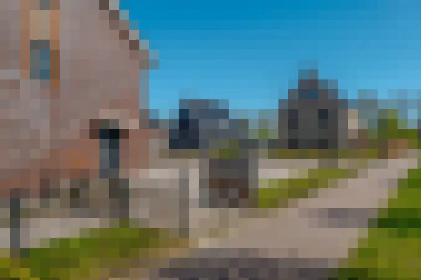 Sleutelbloem 73 Leek thumbnail 12