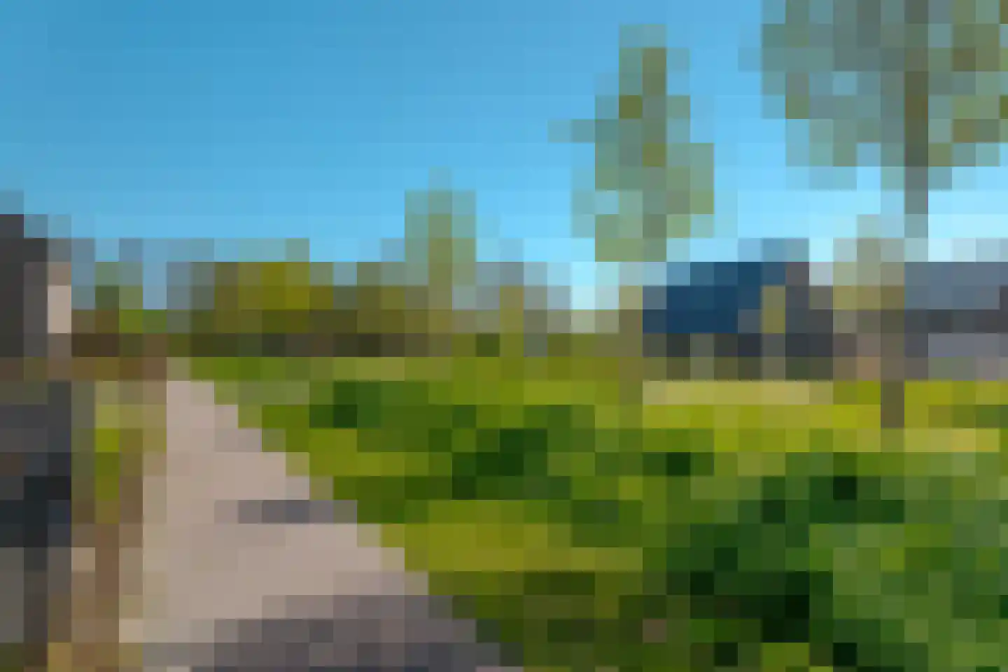 Sleutelbloem 73 Leek thumbnail 13