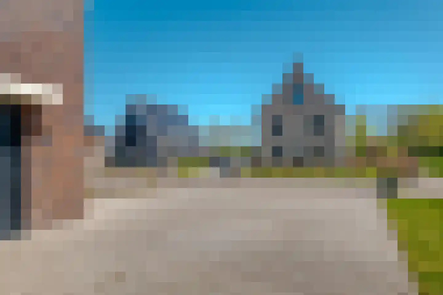 Sleutelbloem 73 Leek thumbnail 15