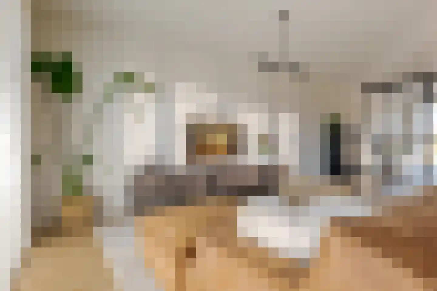 Sleutelbloem 73 Leek thumbnail 21