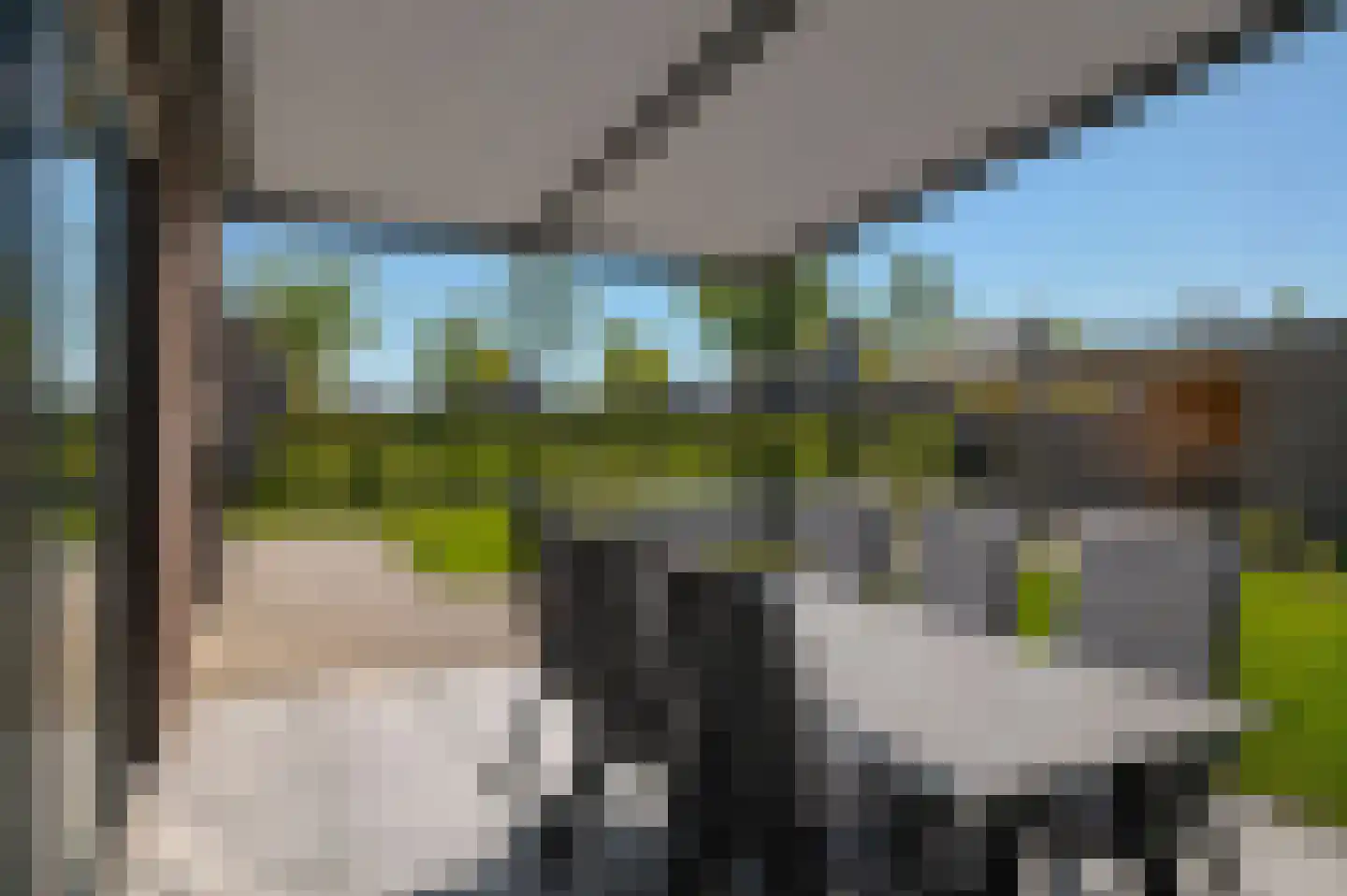 Sleutelbloem 73 Leek thumbnail 62