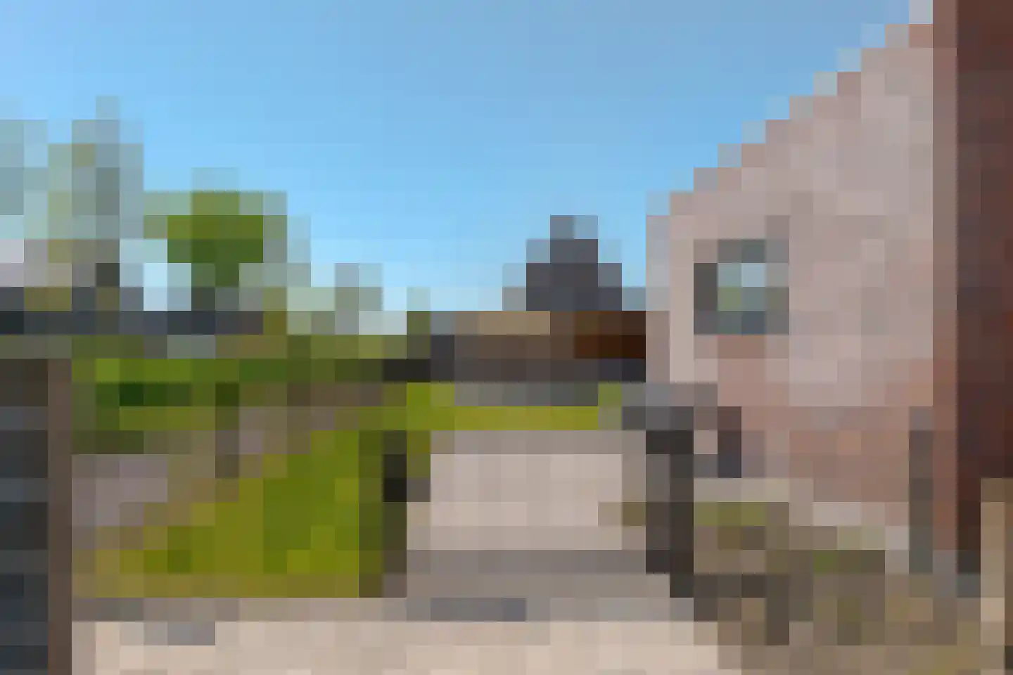 Sleutelbloem 73 Leek thumbnail 64