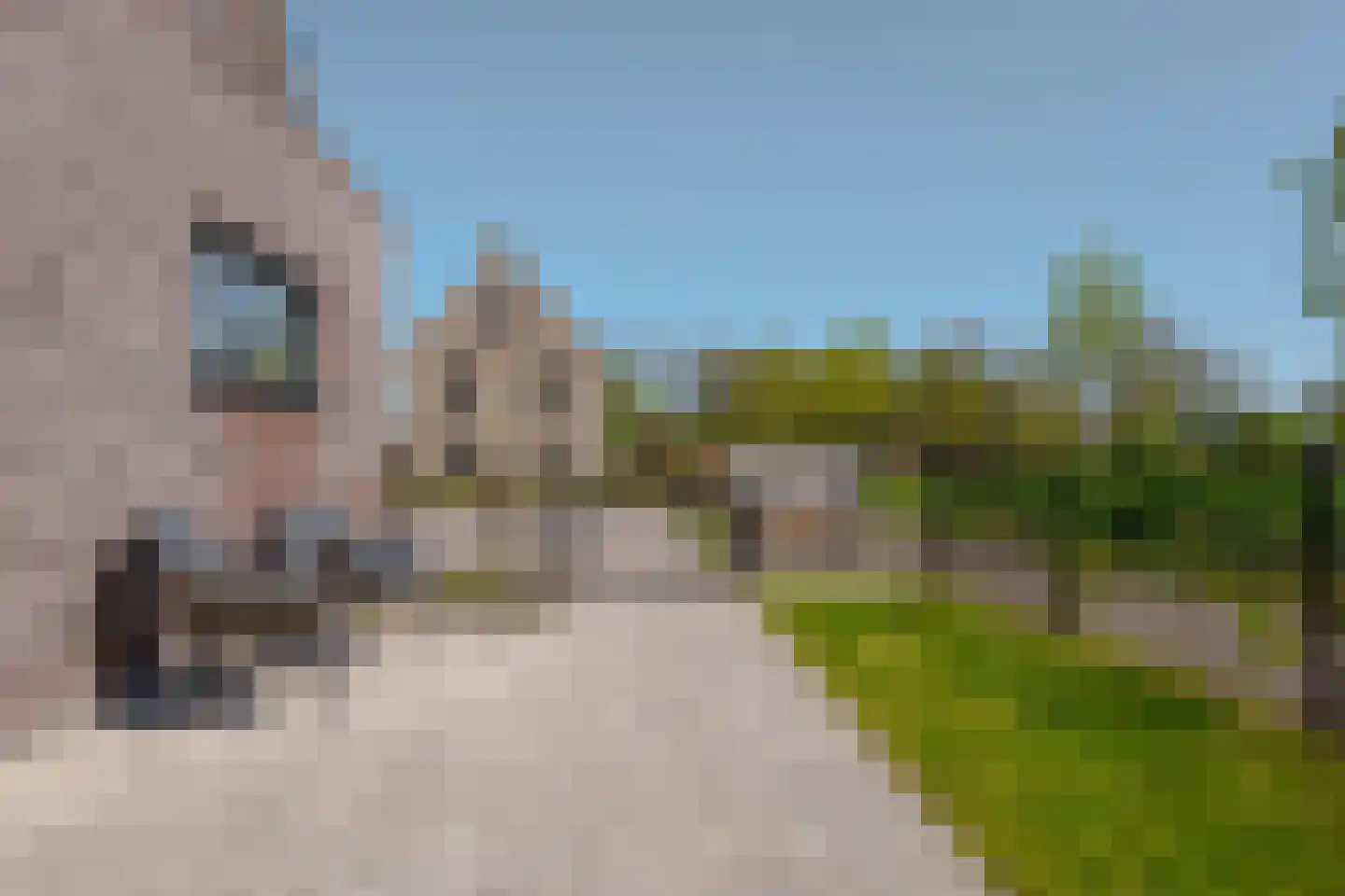 Sleutelbloem 73 Leek thumbnail 65