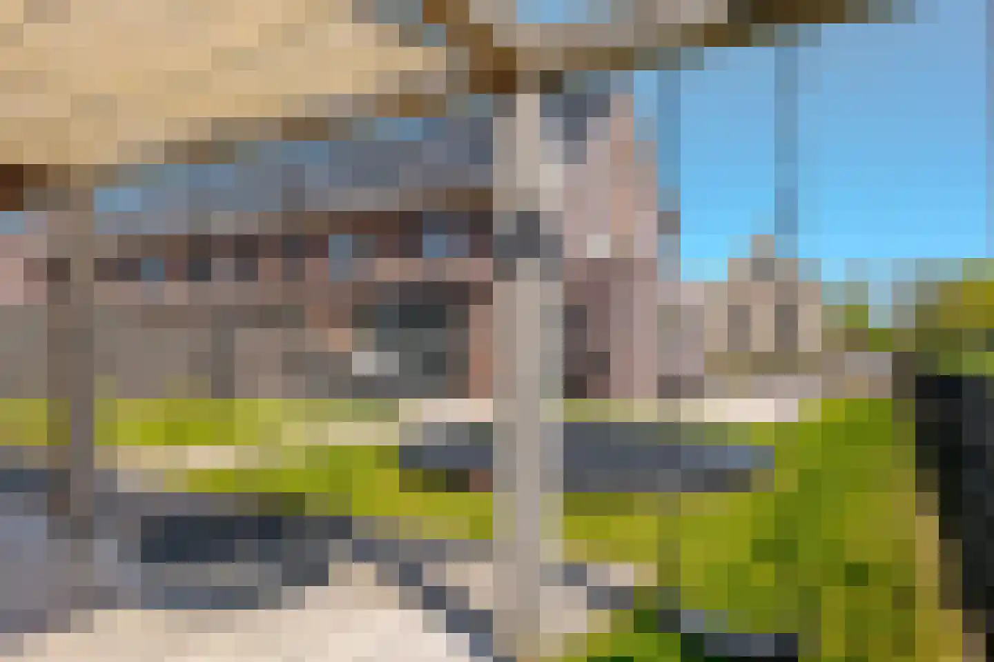 Sleutelbloem 73 Leek thumbnail 66