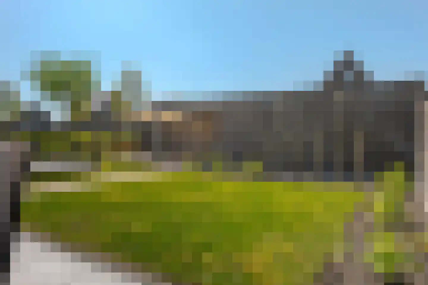 Sleutelbloem 73 Leek thumbnail 67