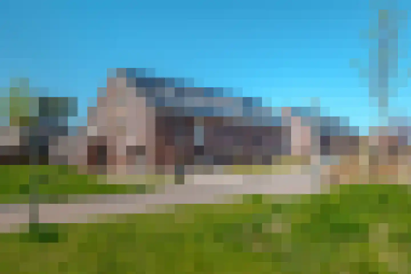 Sleutelbloem 73 Leek thumbnail 7