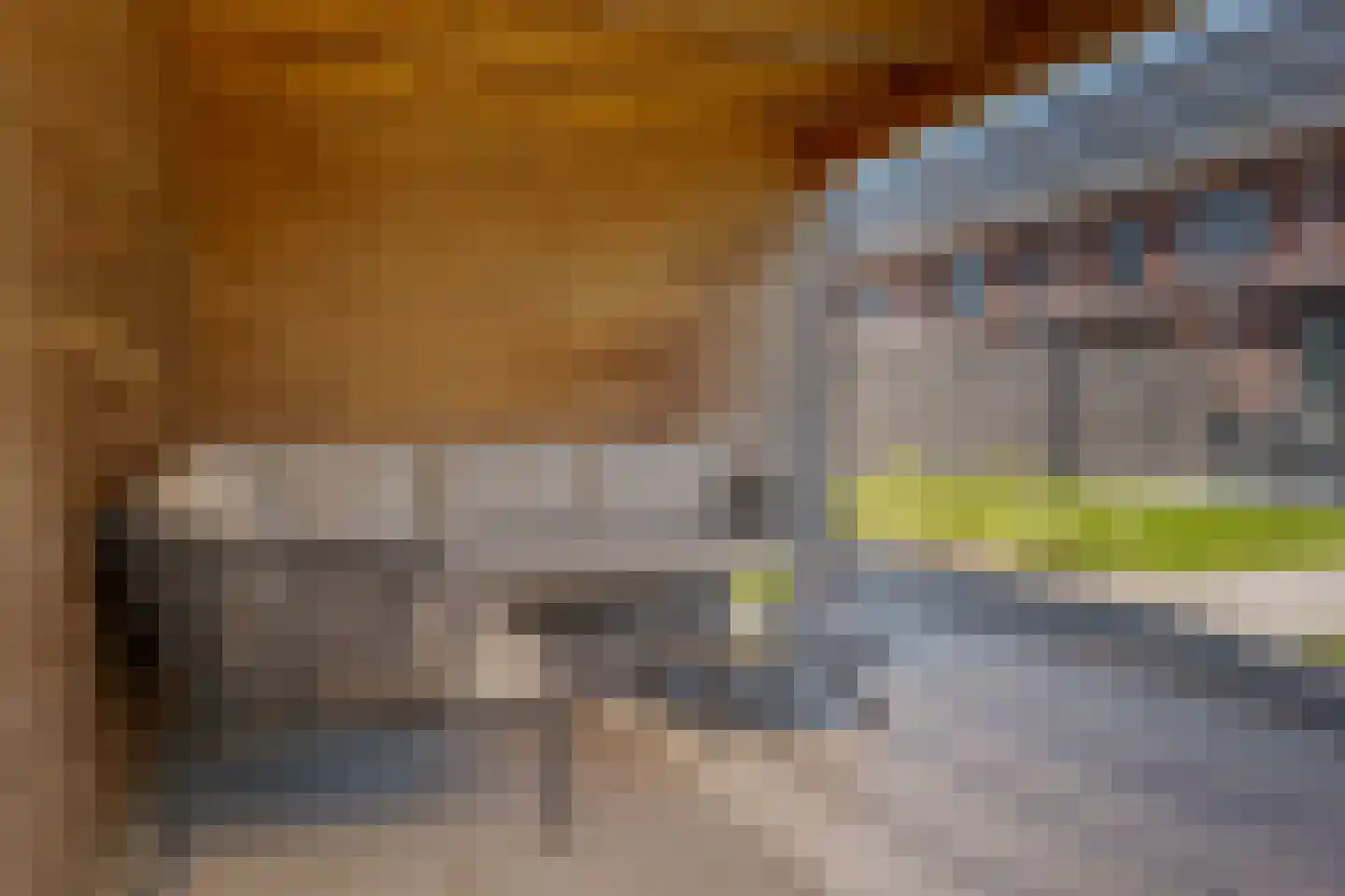 Sleutelbloem 73 Leek thumbnail 70