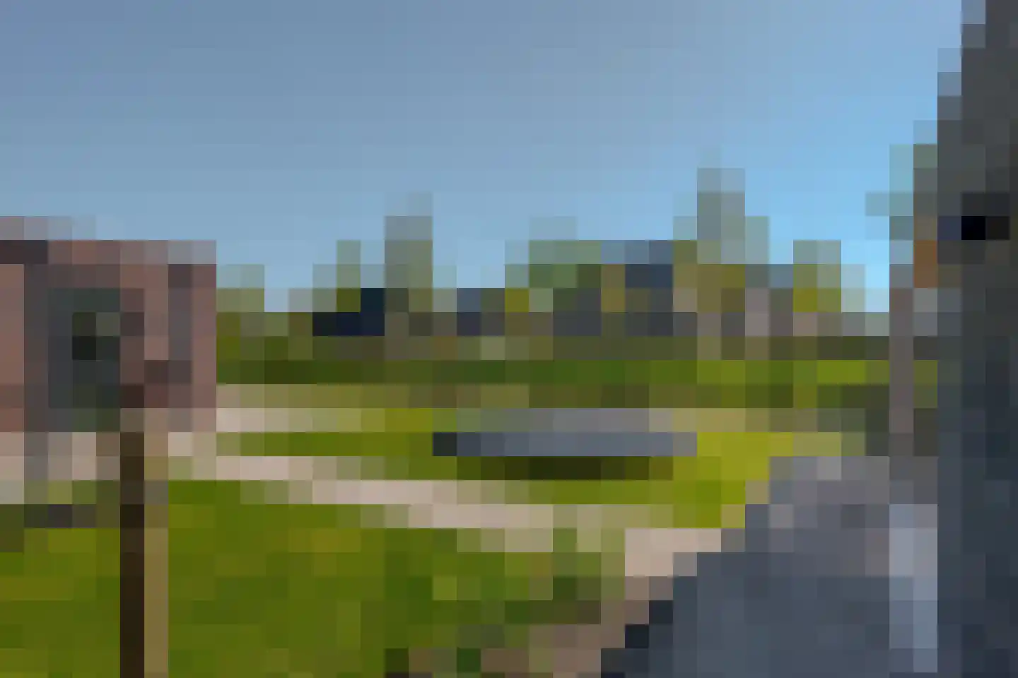Sleutelbloem 73 Leek thumbnail 71