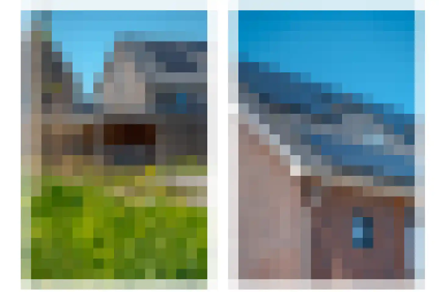 Sleutelbloem 73 Leek thumbnail 9