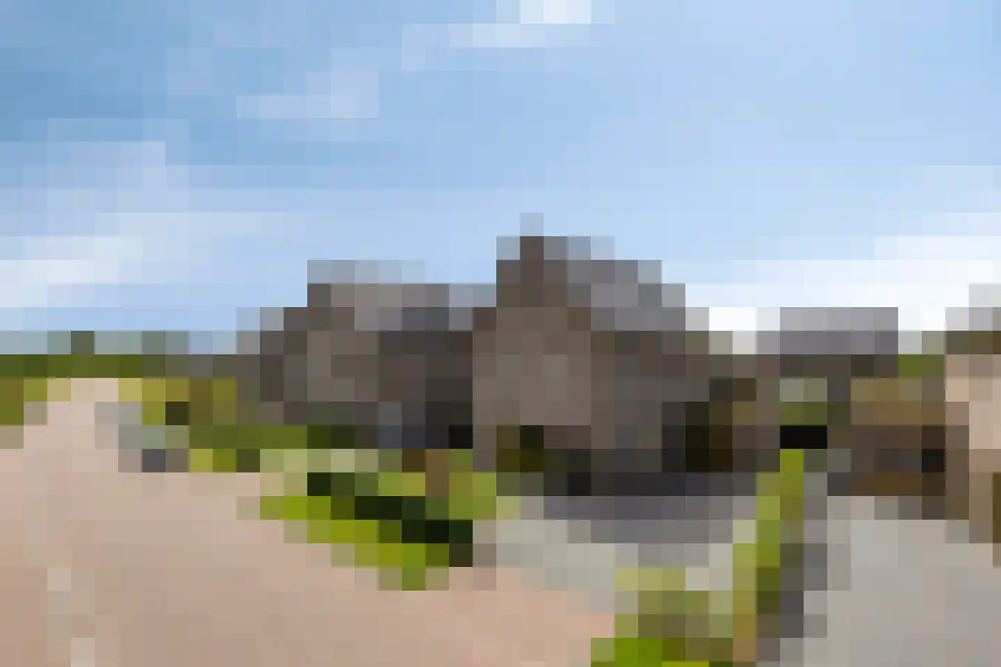Sleutelbloem 77 Leek