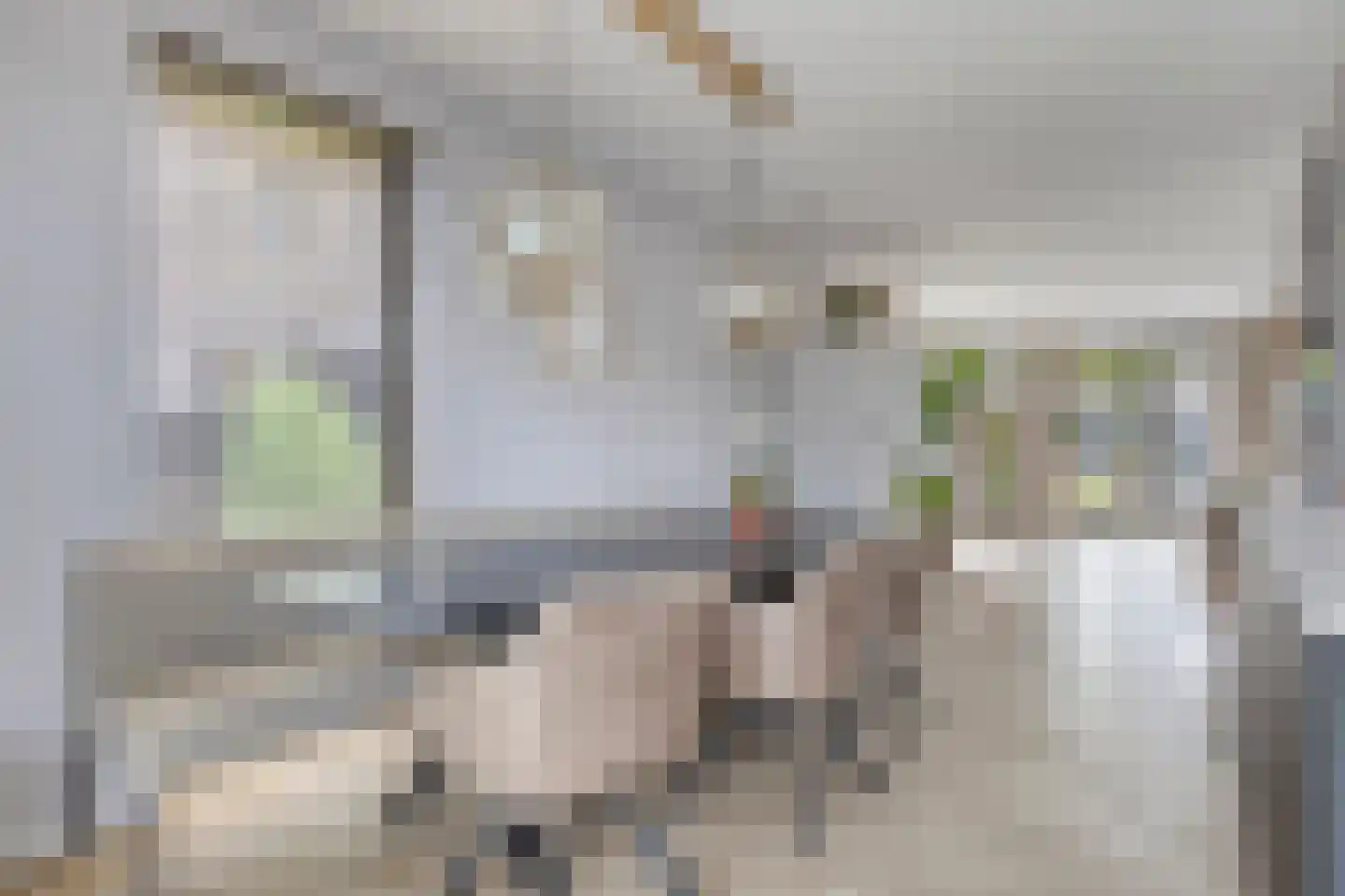 Sleutelbloem 77 Leek thumbnail 20
