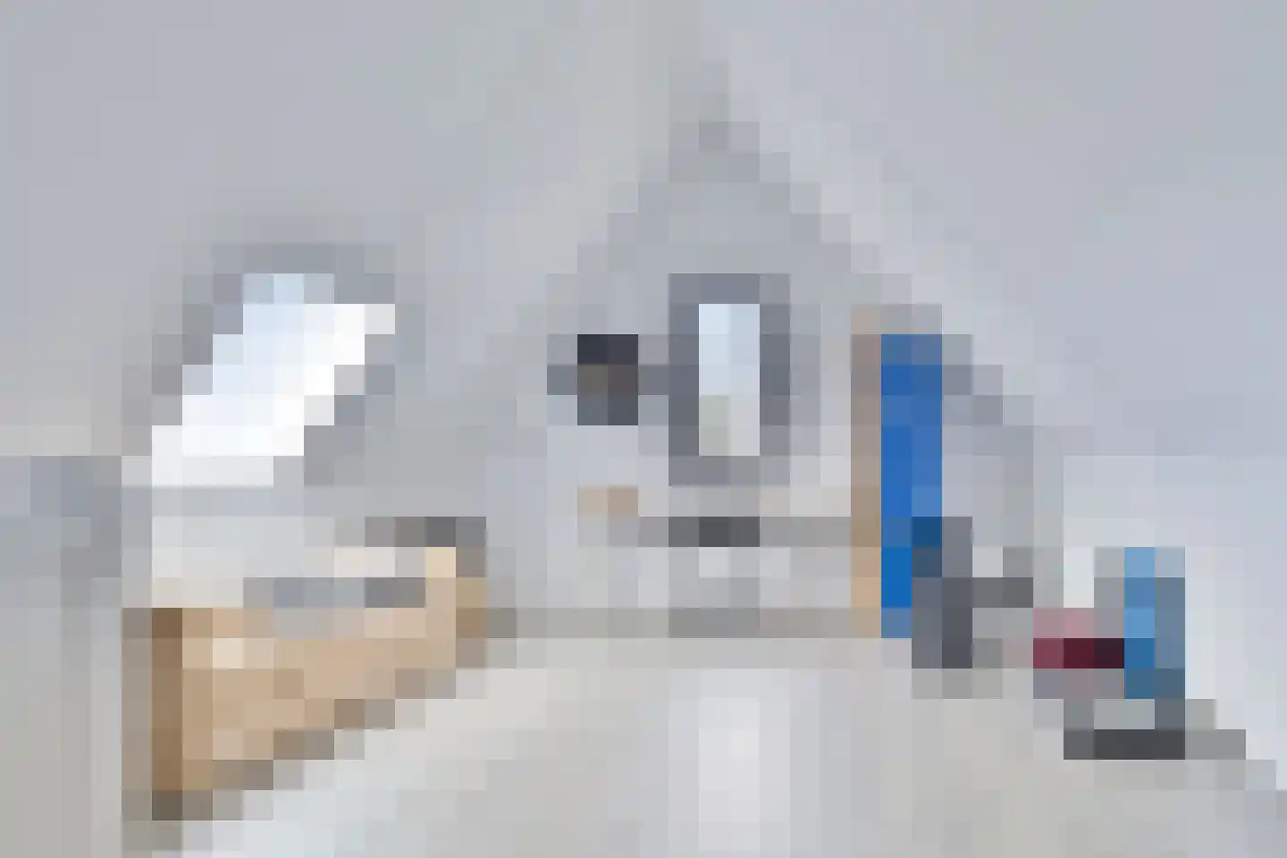 Sleutelbloem 77 Leek thumbnail 31