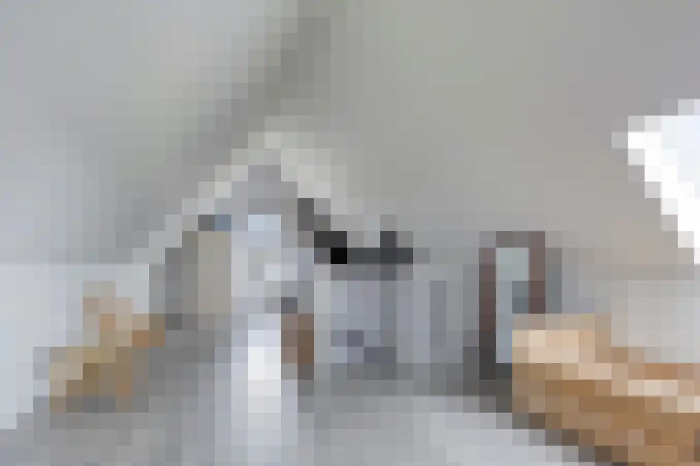 Sleutelbloem 77 Leek thumbnail 32