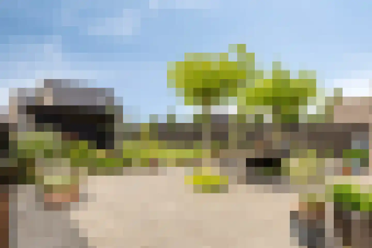 Sleutelbloem 77 Leek thumbnail 33