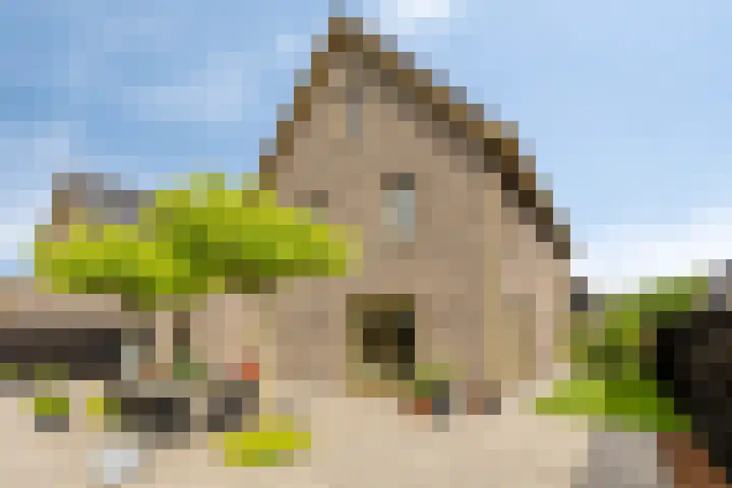 Sleutelbloem 77 Leek thumbnail 34