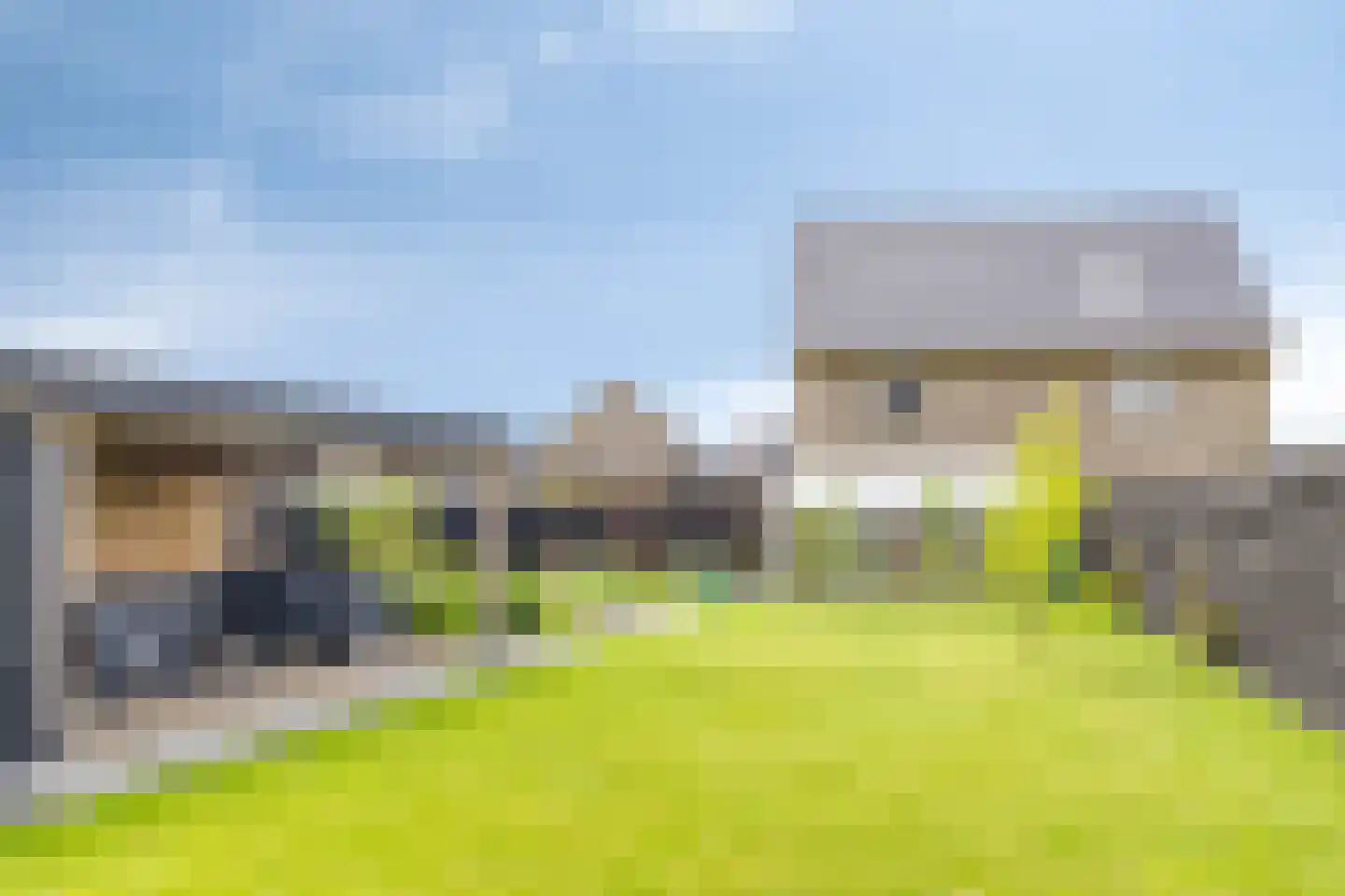 Sleutelbloem 77 Leek thumbnail 36