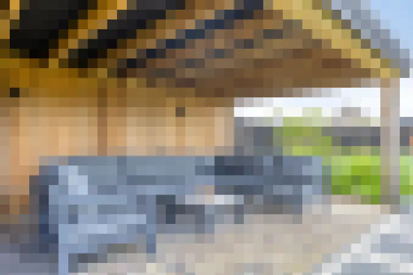 Sleutelbloem 77 Leek thumbnail 38