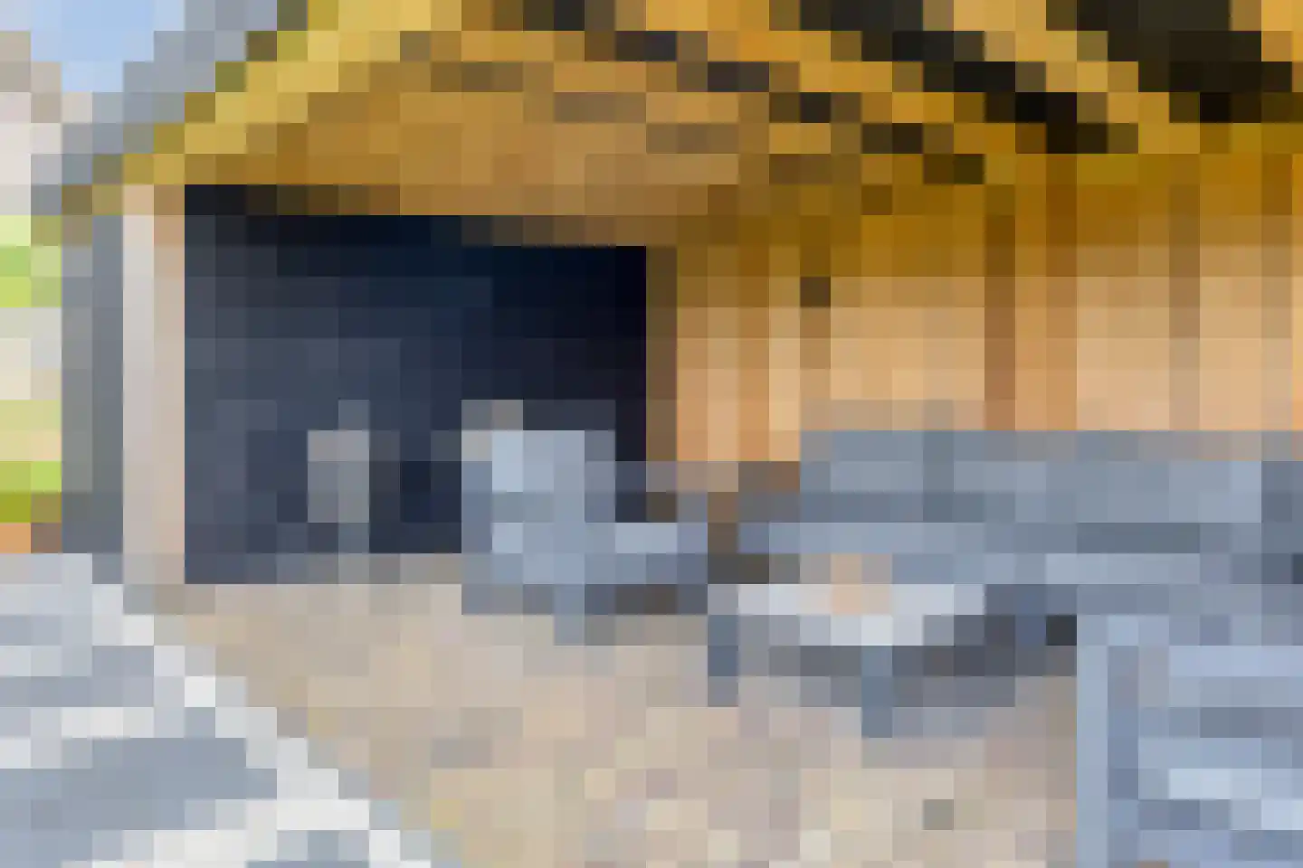 Sleutelbloem 77 Leek thumbnail 39