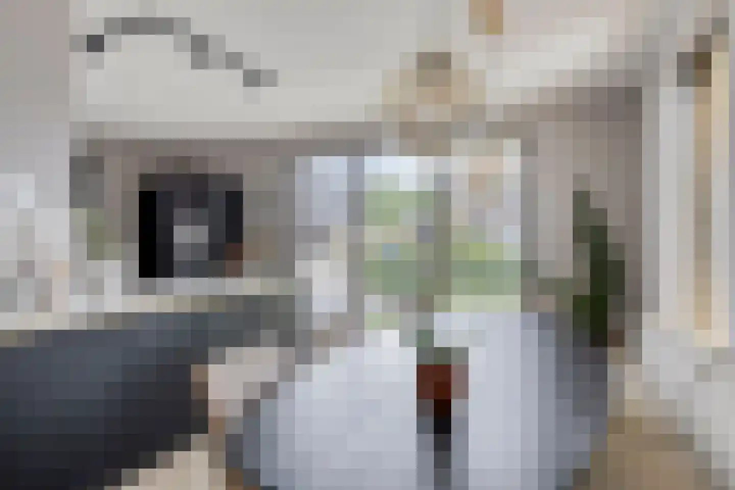 Sleutelbloem 77 Leek thumbnail 4