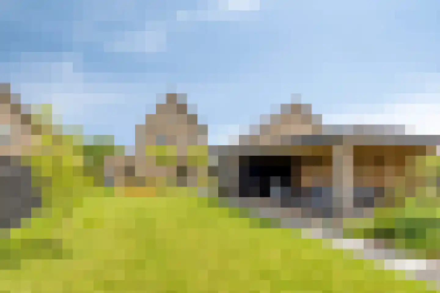 Sleutelbloem 77 Leek thumbnail 40