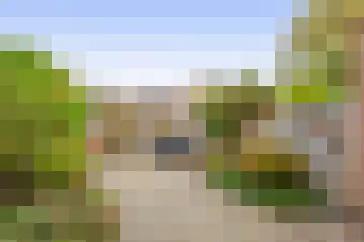 Sleutelbloem 8 Nootdorp thumbnail 20
