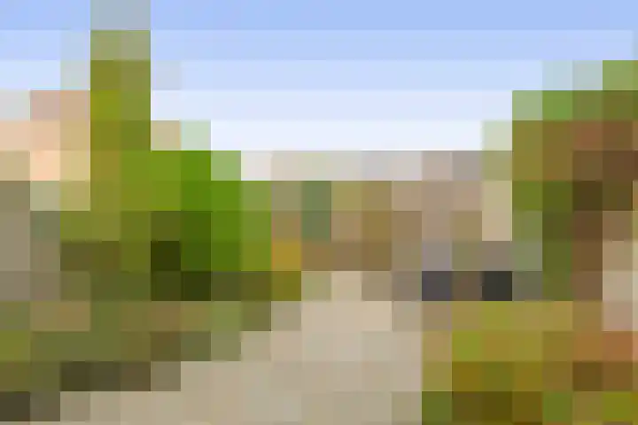 Sleutelbloem 8 Nootdorp thumbnail 21
