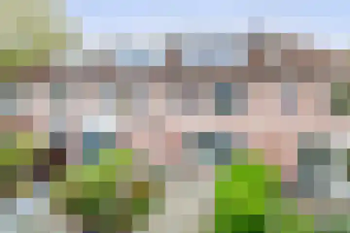 Sleutelbloem 8 Nootdorp thumbnail 24