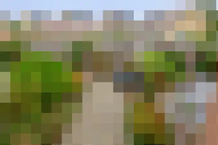 Sleutelbloem 8 Nootdorp thumbnail 36