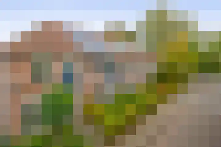 Sleutelbloem 8 Nootdorp thumbnail 37