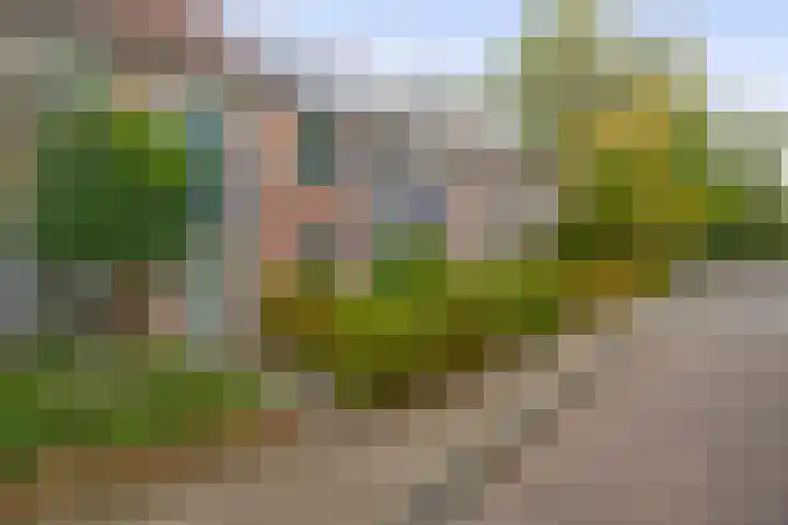 Sleutelbloem 8 Nootdorp thumbnail 39
