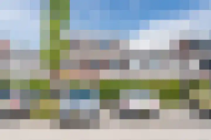 Sleutelbloem 83 Bodegraven thumbnail 42