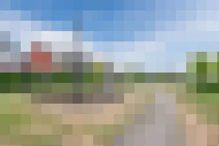 Sleutelbloem 83 Bodegraven thumbnail 43