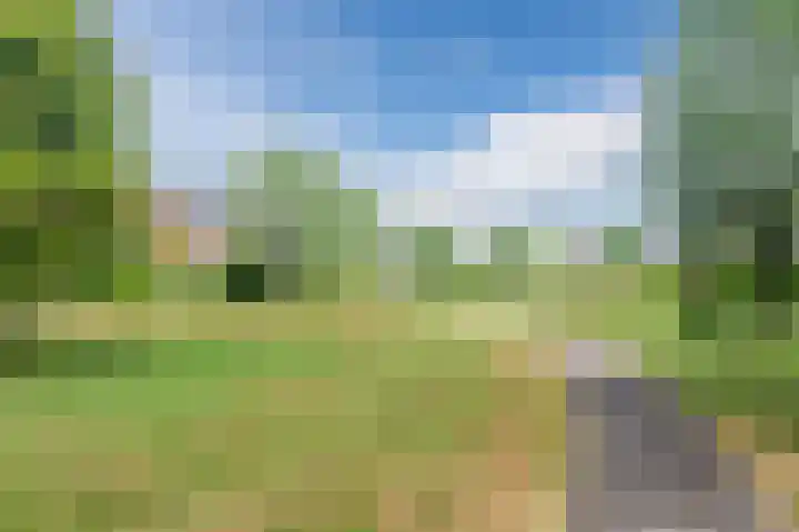Sleutelbloem 83 Bodegraven thumbnail 44