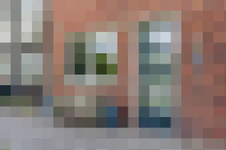 Sleutelbloem 83 Bodegraven thumbnail 8