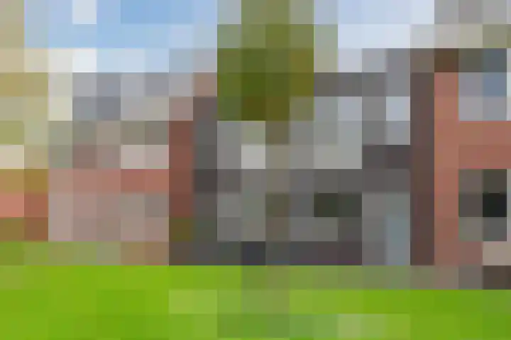 Sleutelbloem 85 Bodegraven thumbnail 29