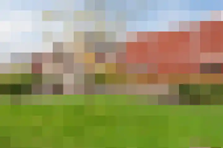 Sleutelbloem 85 Bodegraven thumbnail 31