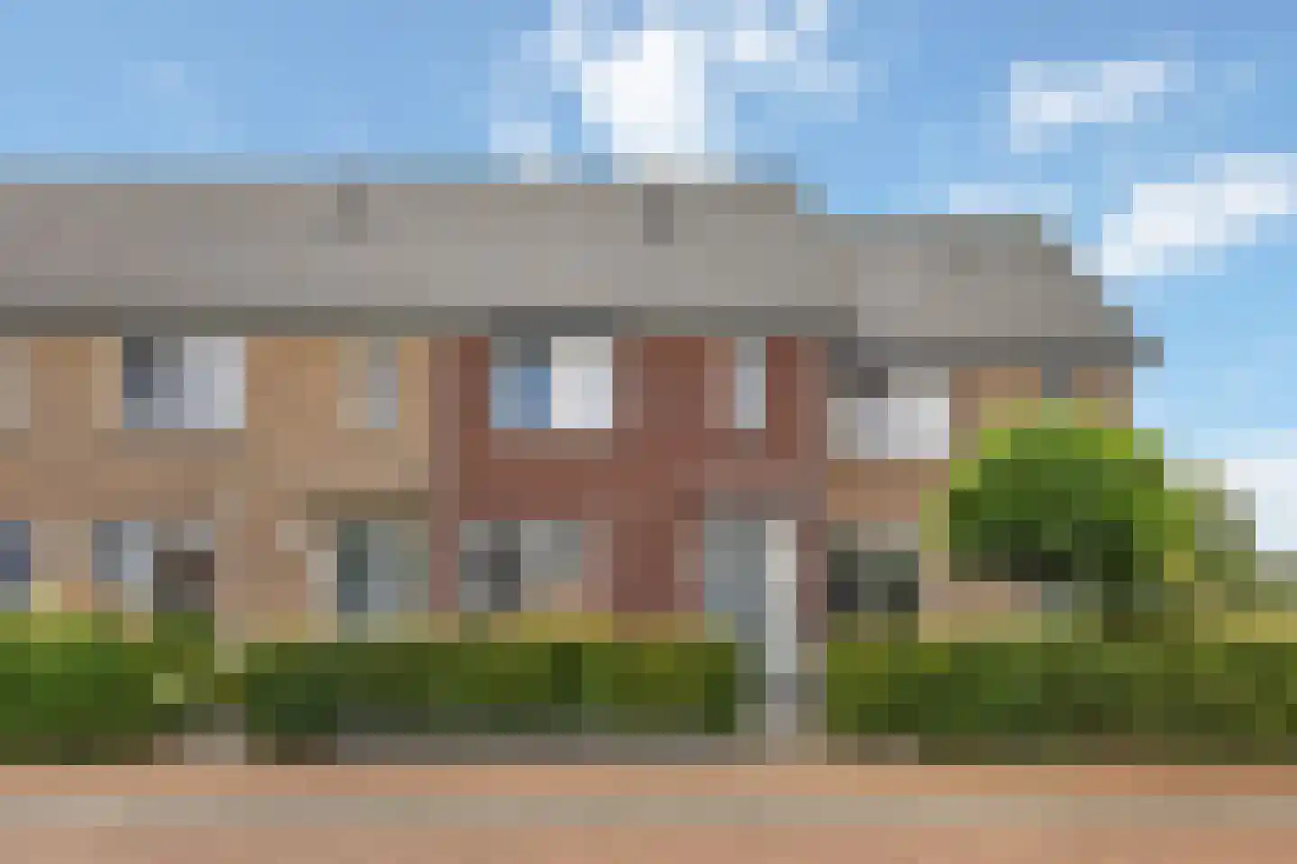 Sleutelbloem 9 Mariënheem