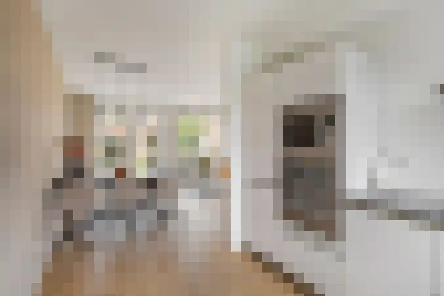 Sleutelbloem 9 Mariënheem thumbnail 10