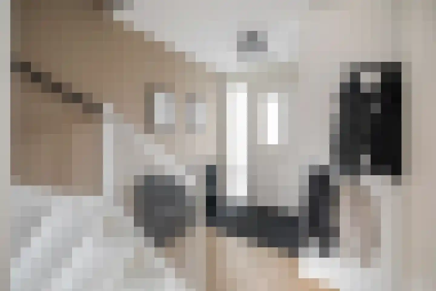 Sleutelbloem 9 Mariënheem thumbnail 12