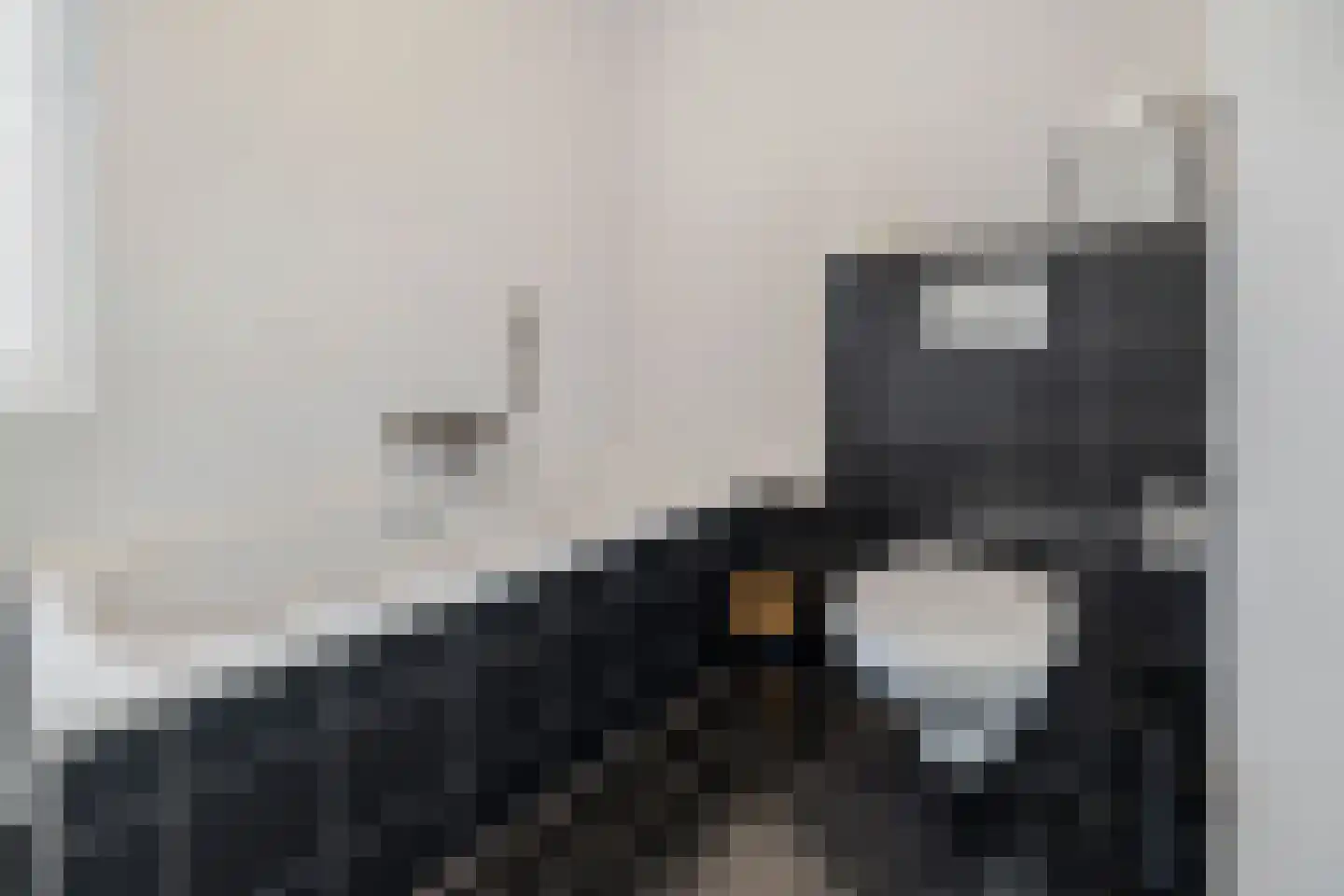 Sleutelbloem 9 Mariënheem thumbnail 13