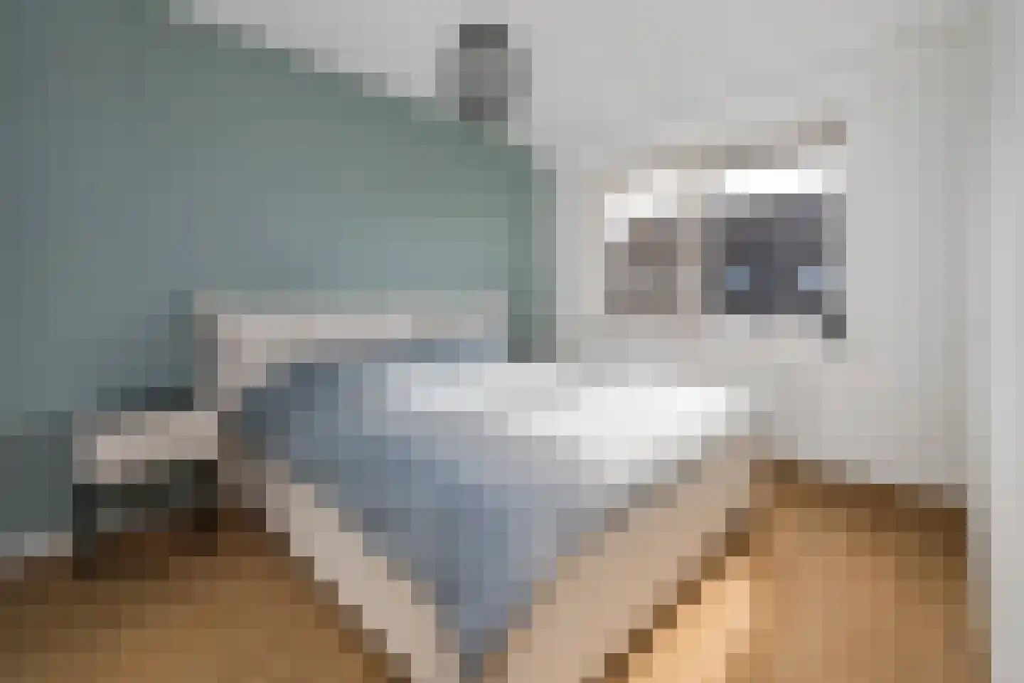 Sleutelbloem 9 Mariënheem thumbnail 16