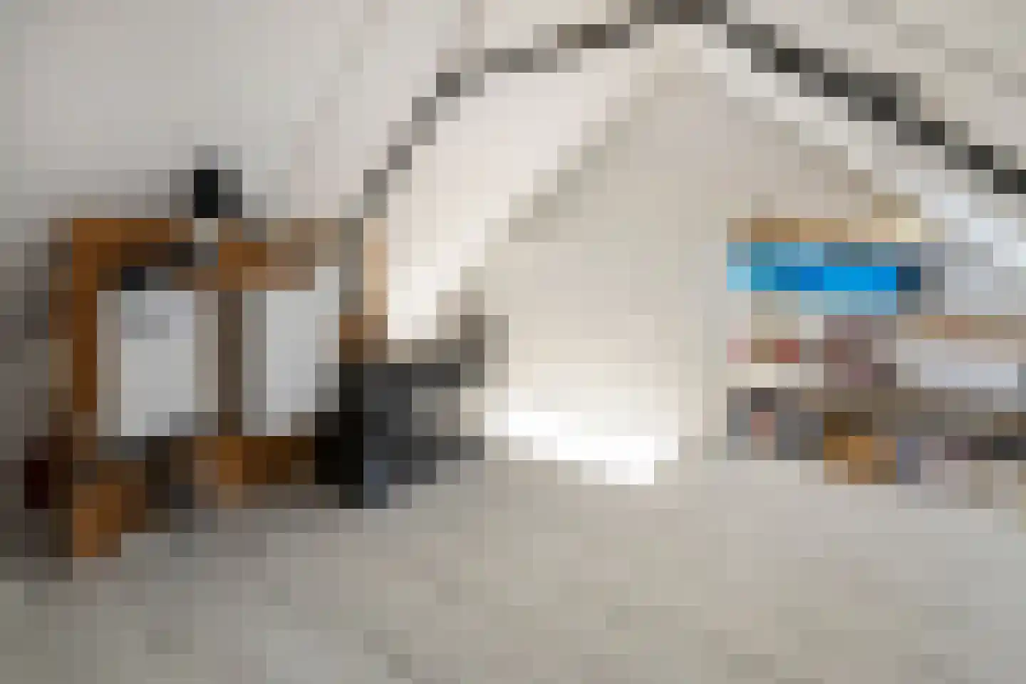 Sleutelbloem 9 Mariënheem thumbnail 21