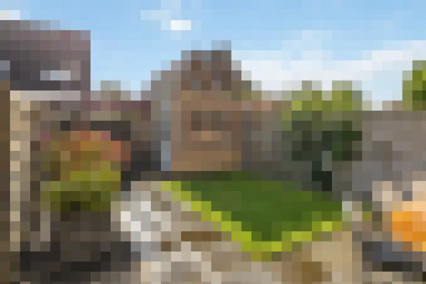 Sleutelbloem 9 Mariënheem thumbnail 26