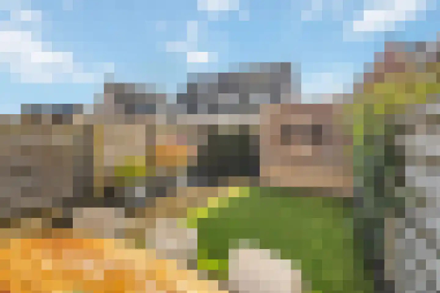 Sleutelbloem 9 Mariënheem thumbnail 27