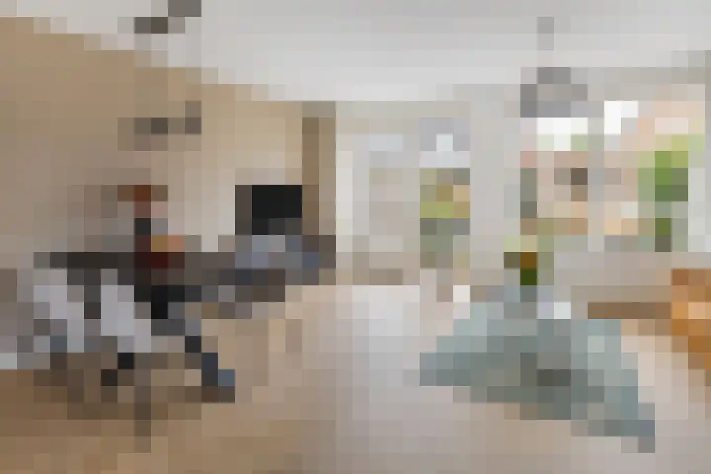 Sleutelbloem 9 Mariënheem thumbnail 6