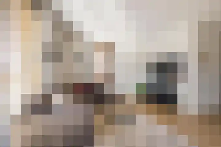 Sleutelbloem 99 Leek thumbnail 12
