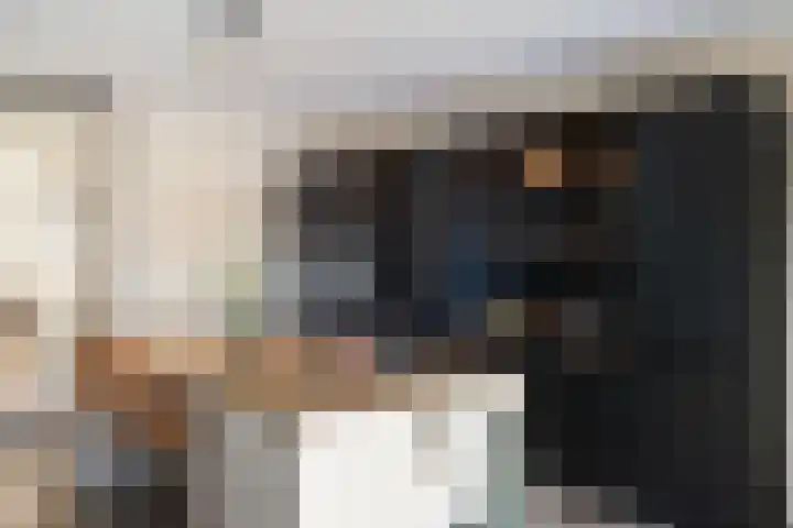 Sleutelbloem 99 Leek thumbnail 18