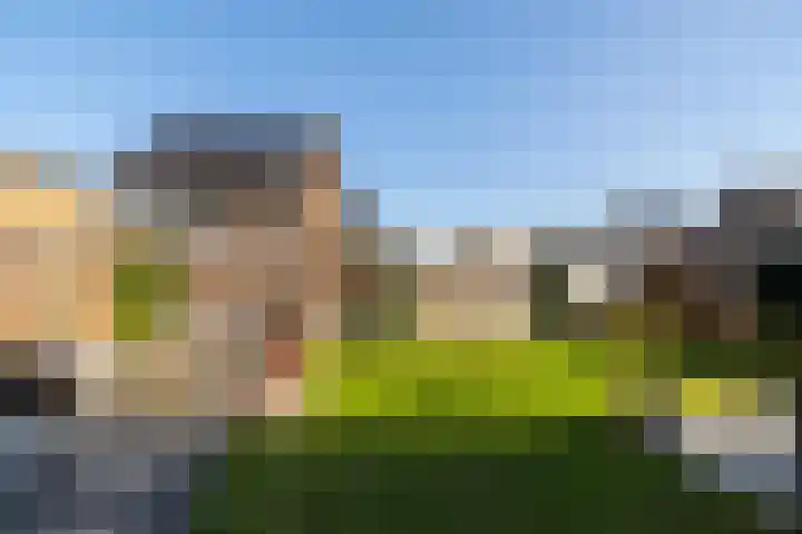 Sleutelbloem 99 Leek thumbnail 38